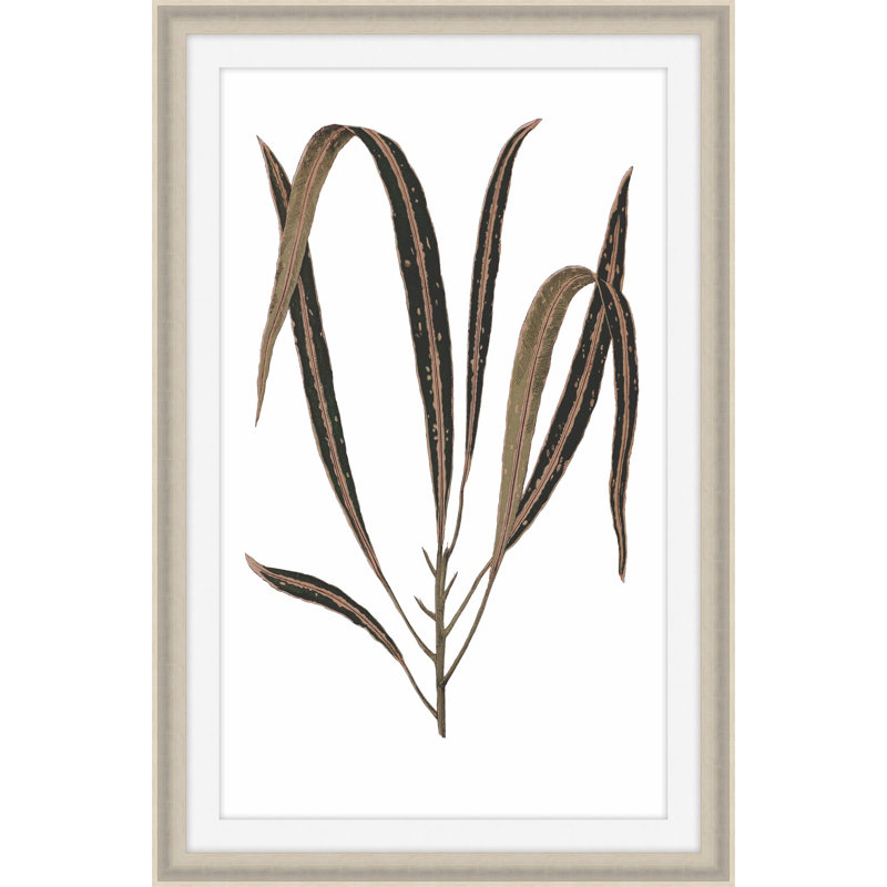 Daily Wish Brown 3 Print, 17" H x 12" W x 1" D