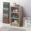 Zaira 80cm H x 40cm W Standard Bookcase-1973578565-1961234876