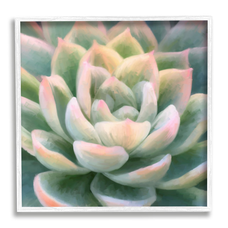 «Green Succulent Petals On Canvas» par Amy Hall, peinture, H 24 po x l 24 po x P 1,5 po, Giclée encadrée blanc bord de mer