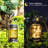 6.89'' Solar Powered Integrated LED Cylinder Lantern