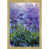 Semplice Specchio Floater Framed is out of stock