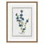 Colombe Soft Botanical I - Art encadré avec fond perdu-72514523-72514518