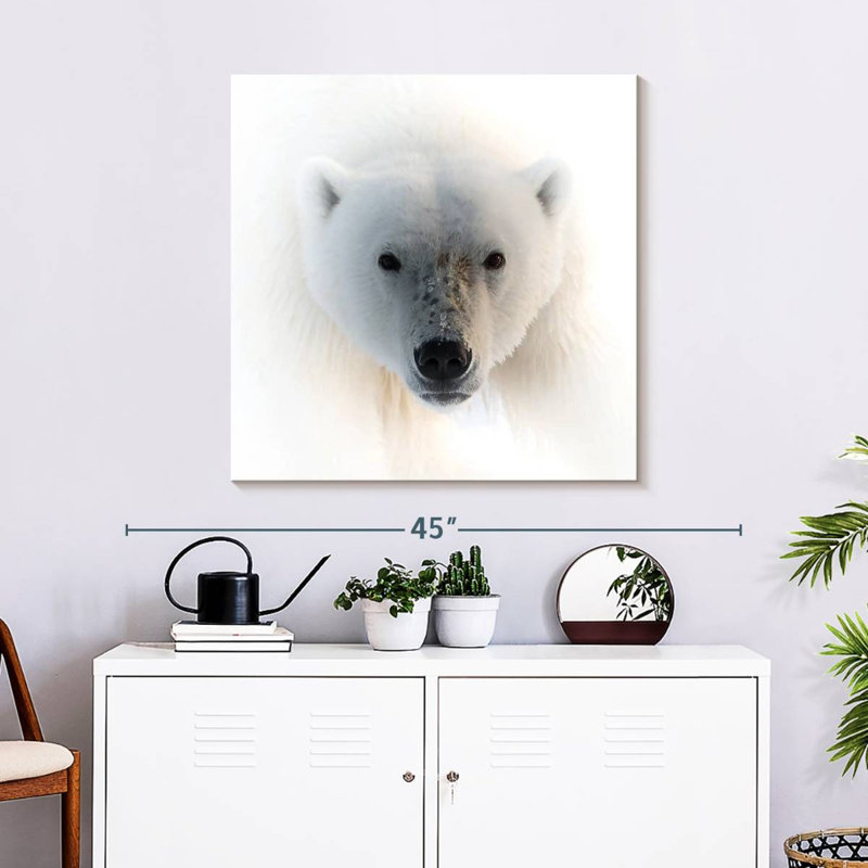 Crowle Polar Bear Portrait