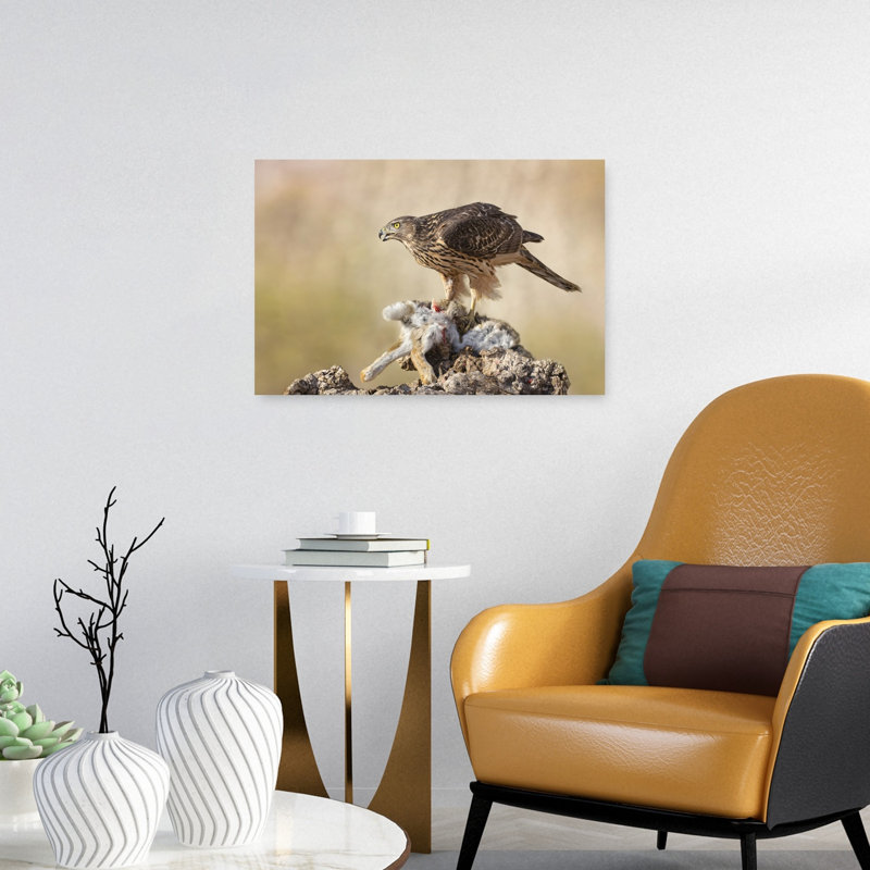 Fierce Hawk'S Meal Contemporary Bird Rabbit Nature Wildlife Wall Art Print by Carles Just - Print, 40.64cm H x 60.96cm W