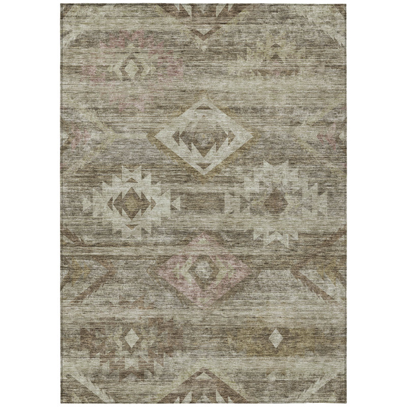 Thienan Washable Southwestern Indoor / Outdoor Rug, Rectangle 10' x 14'