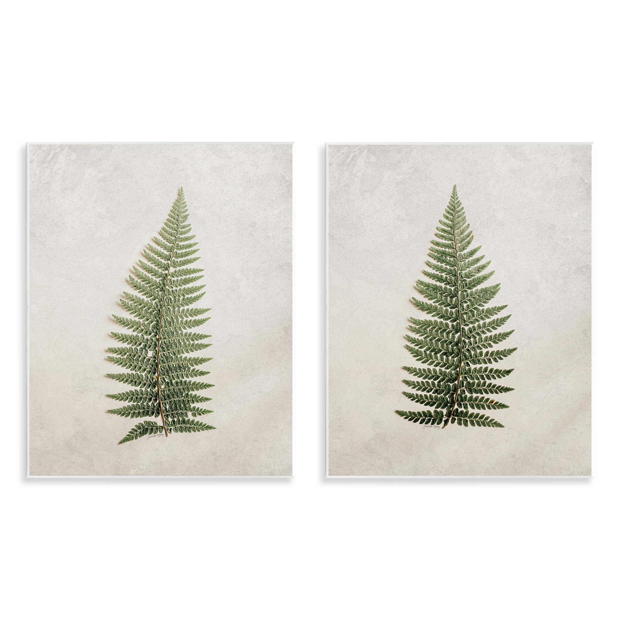 Highland Dunes Realistic Fern Leaves 2 PC Wall Plaque Art Set by ...