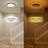 Dimmable LED Flush Mount Ceiling Light with Remote Control Night Light