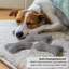 MODWOOL-106364333-106364331