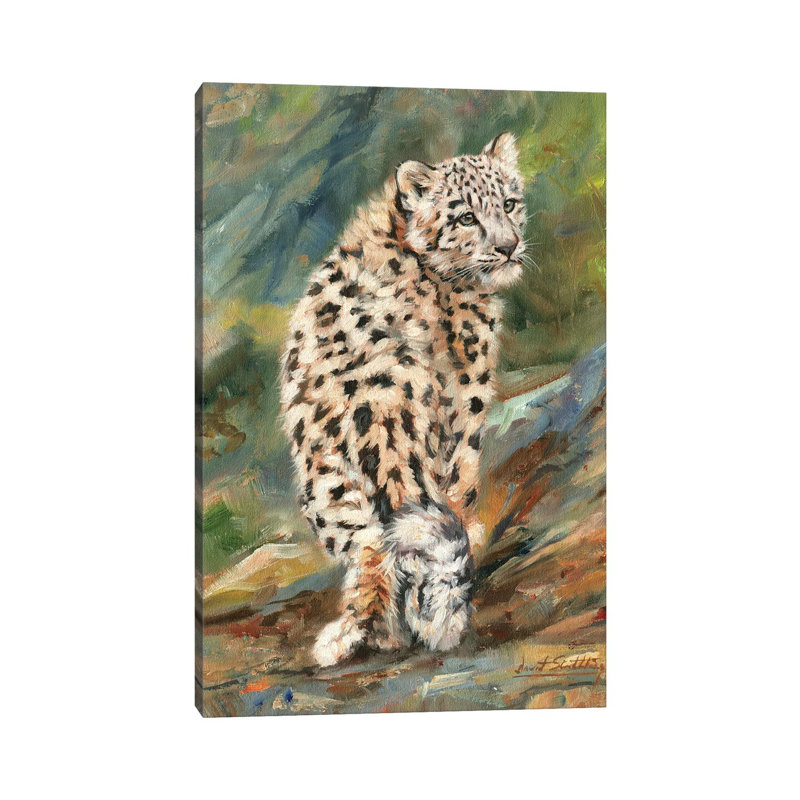 Snow Leopard Cub Looking Back by David Stribbling - Wrapped Canvas Gallery-Wrapped Canvas Giclée