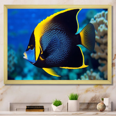 Reproduction d'art sur toile, "Finved Fish Wonders I" - animaux