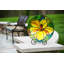 Bain d’oiseaux hibiscus art nouveau