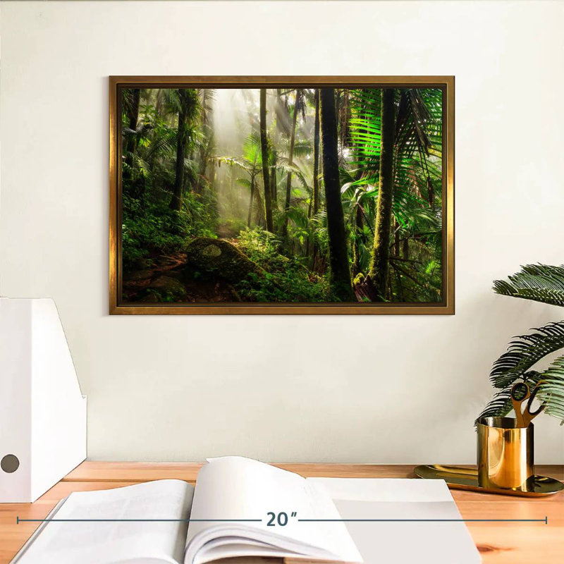 Forêt nationale d'El Yunque, Cadre flottant doré, 13 po x 9 po