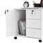 Soriano 60cm Wide 3 -Drawer Mobile File Cabinet-1580129003