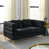 Ours en peluche noir