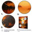 Boscawen African Savannah Serenade II-1763174133-1763173900