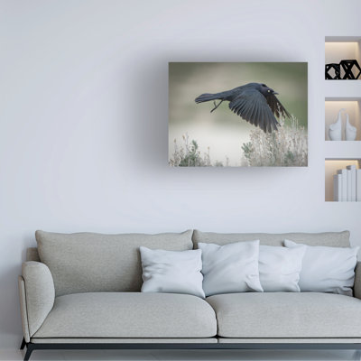 Bolog Ronald Scott Johnson Focused Canvas Art