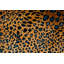 Ardmore Velvet Pillow-452395745