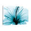 «Aqua Hibiscus», toile tendue par Albert Koetsier-1332313555