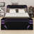 Black+Purple