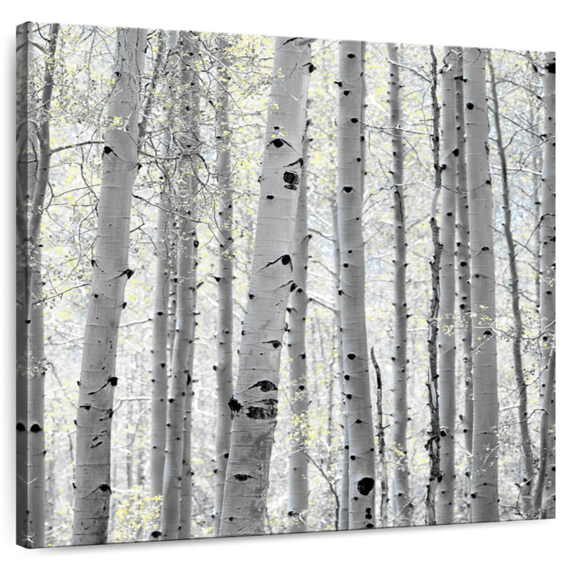 Harnek Aspen Square II, H 10 po x l 10 po