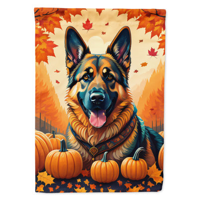 Double Sided 40'' H x 28'' W Polyester House Flag