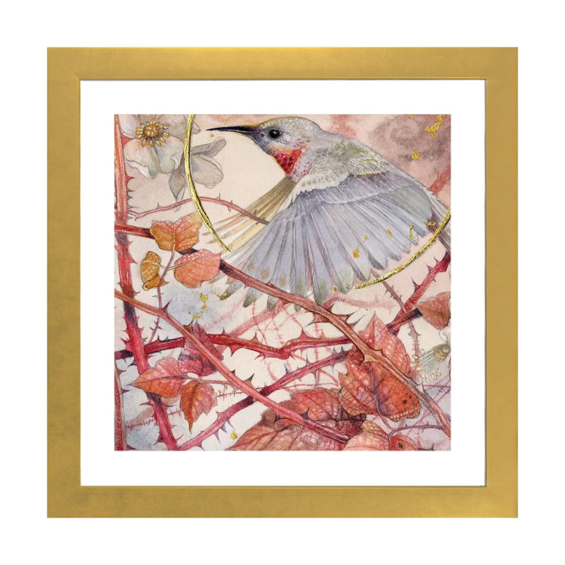 Colibri par Stephanie Law - reproduction d'art, Blanc, Papier encadré doré, H 24 po x l 24 po x p 1 po