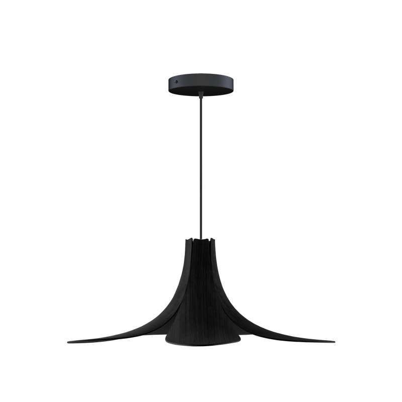 Luminaire suspendu 1 lumière Kishmore, Noir