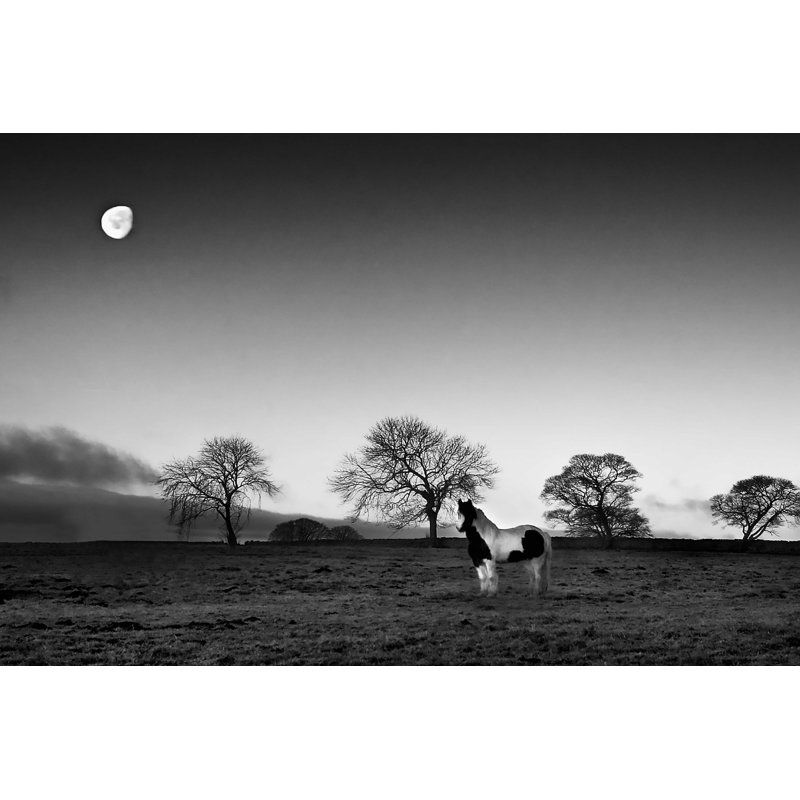 «Evening Light IV» par Martin Henson - reproduction d'art sur toile tendue, H 24 po x l 36 po x P 1,25 po