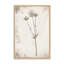 «Wildflower Journal Vintage» par Nathan Larson, reproduction d'art-114322305-114322307