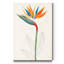 Reproduction d’art sur toile tendue « Botanical of the tropiques IV »-1843240096