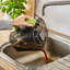 Daewoo Bagless Wet / Dry Vacuum