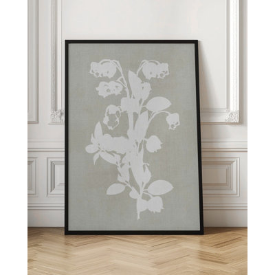 Illustration botanique 4
