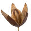 Vickerman Natural Botanicals 20" Lily on Stem. Includes 50 Stems per Pack