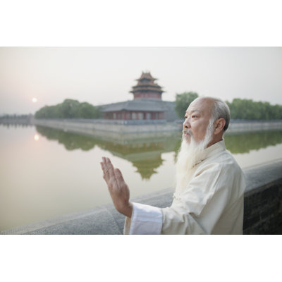 Senior Man Practicing Tai Ji by XiXinXing - Wrapped Canvas Print