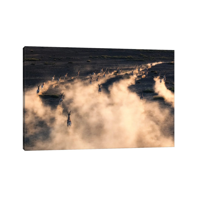 Thomson Gazelle In Sunset by Henry Zhao - Wrapped Canvas Print, 66.04 cm H x 45.72 cm W