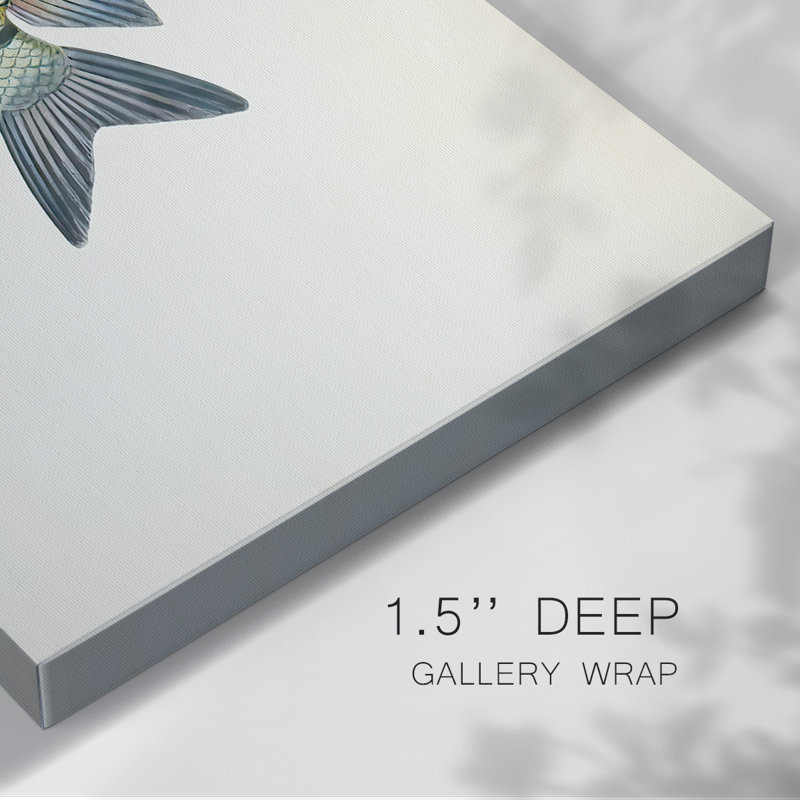Toile tendue collection Tropical Fish Collection VI-Gallery, H 12 po x l 18 po