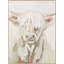 Wrapped Canvas Painting-1663053857