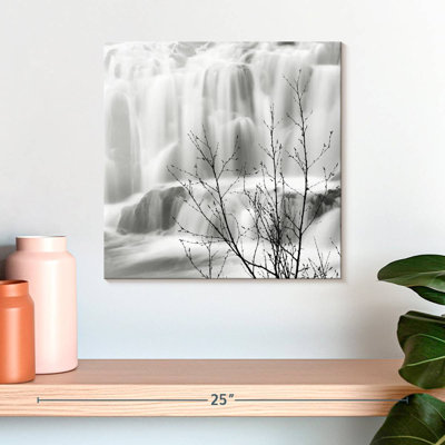 Alvord BW Waterfall
