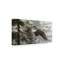 «Through The Firs» par Etelca, impression sur toile tendue-27653007