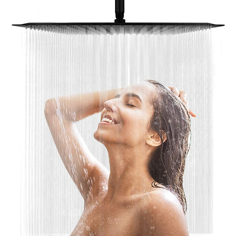 Rain Fixed Shower Head 2.0 GPM GPM