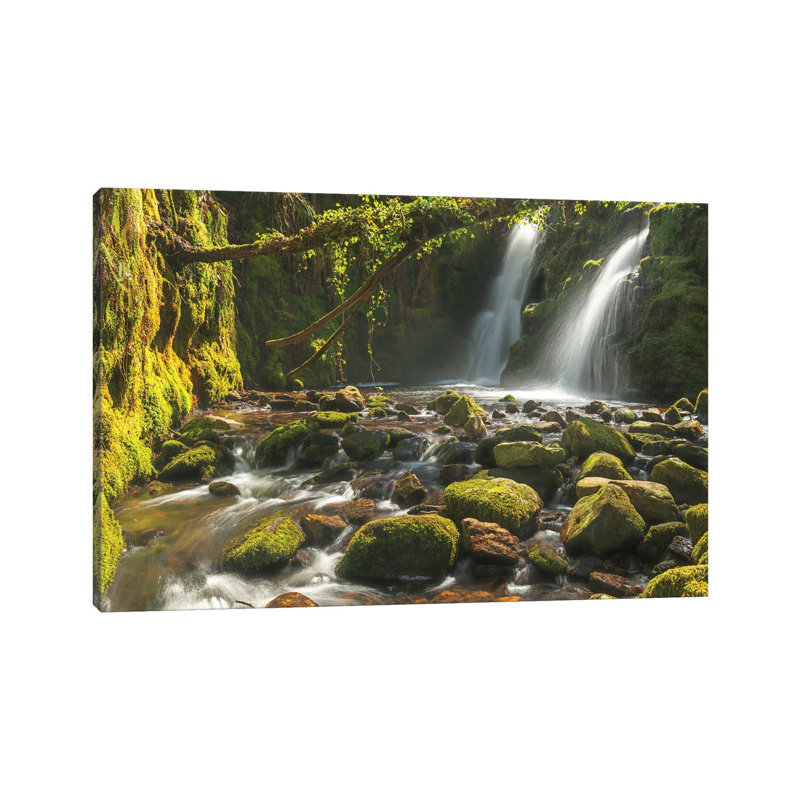 The Secret Waterfall by Adam Burton - Wrapped Canvas Print, 20.32 cm H x 30.48 cm W