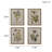 4-piece Botanical Illustration Framed Canvas Wall Art Set