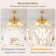 Isco Ceiling Fan with 5 Light Kit
