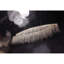 Lustre suspendu moderne et lumineux-89056549-131532515