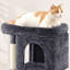 Arbre à chat 33 "Mcquiston-1181027456