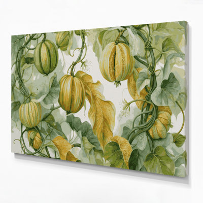 Légumes, art mural sur toile vert Luffa Luffa