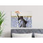 Nussbaum Wrapped Canvas Print Set-925378233