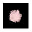 «Pale Pink on Black», impression sur toile-33358368-72432460-72432461