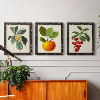 Feuillage antique et fruit VI - ensemble de 3 peintures sur toile encadrées