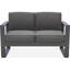 127cm Wide Metal Loveseat with Cushions-1118790578